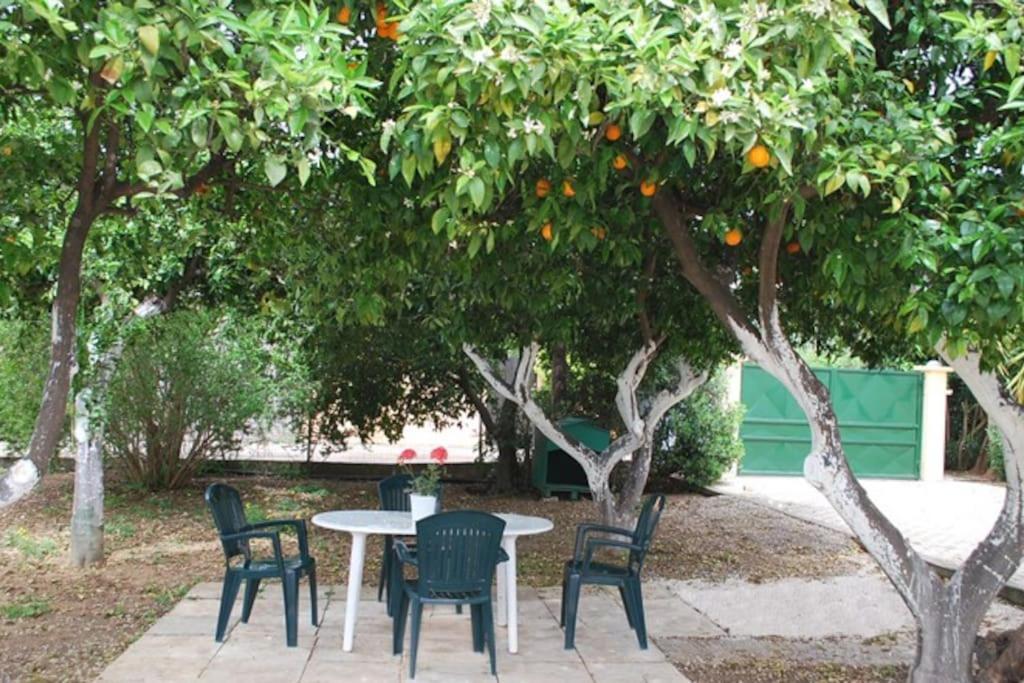 Quiet And Luxurius Nauplia